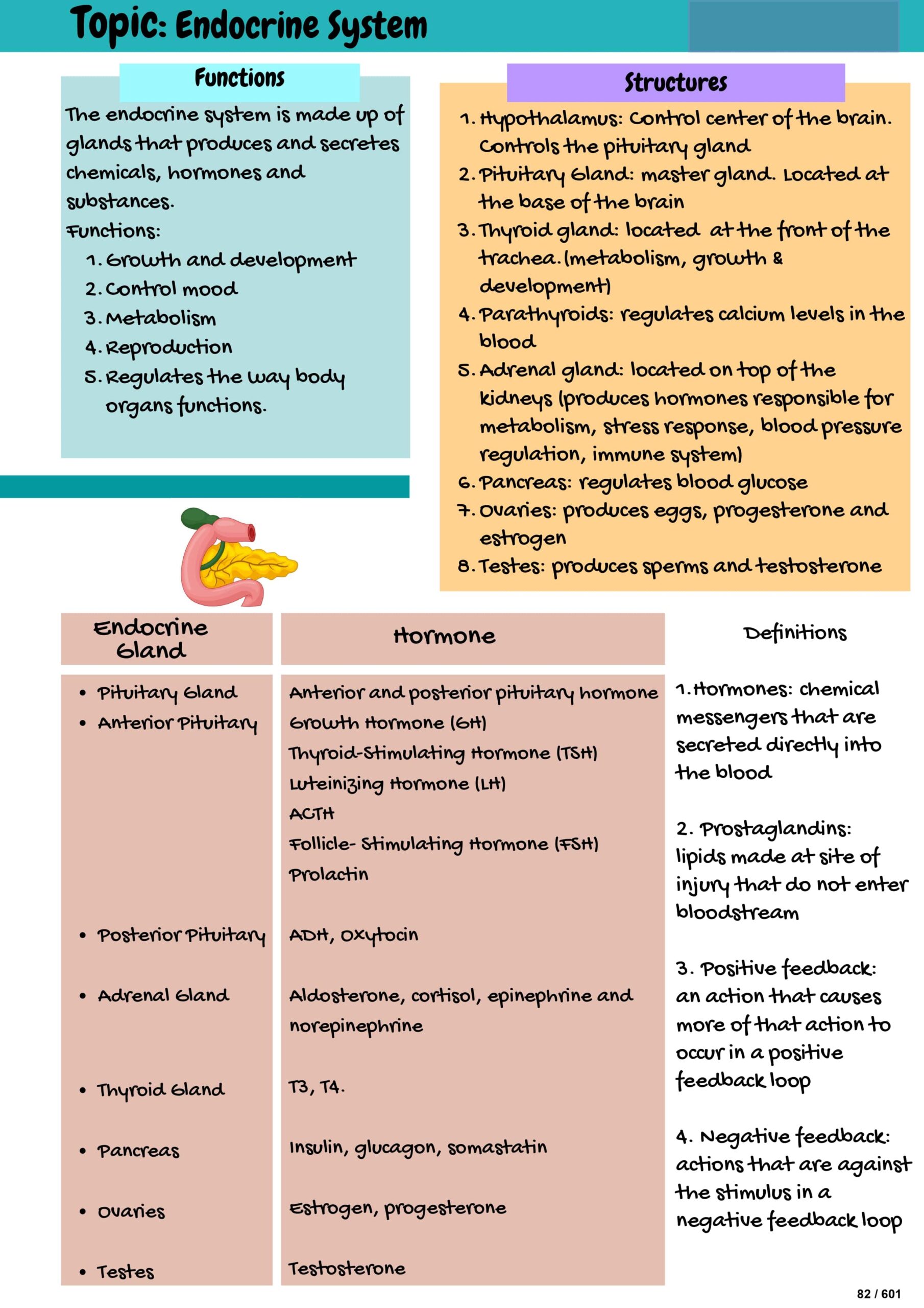 10 pages_page-0008-min